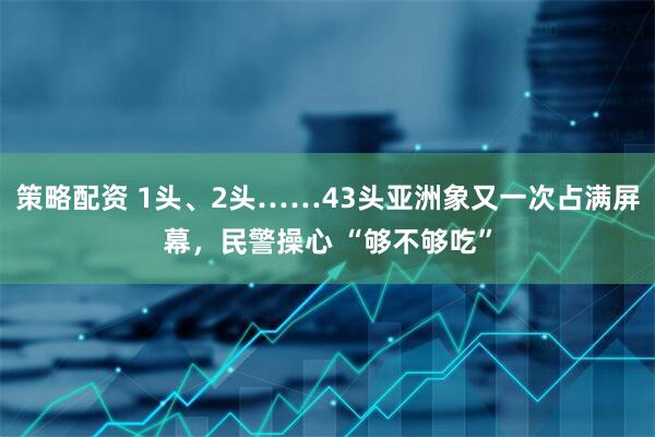策略配资 1头、2头……43头亚洲象又一次占满屏幕，民警操心 “够不够吃”