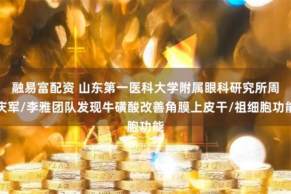 融易富配资 山东第一医科大学附属眼科研究所周庆军/李雅团队发现牛磺酸改善角膜上皮干/祖细胞功能