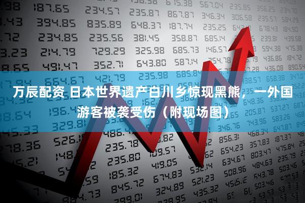 万辰配资 日本世界遗产白川乡惊现黑熊，一外国游客被袭受伤（附现场图）