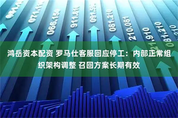 鸿岳资本配资 罗马仕客服回应停工：内部正常组织架构调整 召回方案长期有效