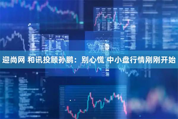 迎尚网 和讯投顾孙鹏：别心慌 中小盘行情刚刚开始
