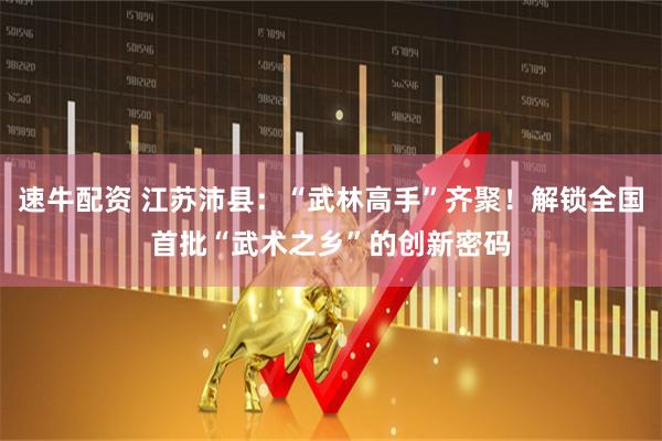 速牛配资 江苏沛县：“武林高手”齐聚！解锁全国首批“武术之乡”的创新密码